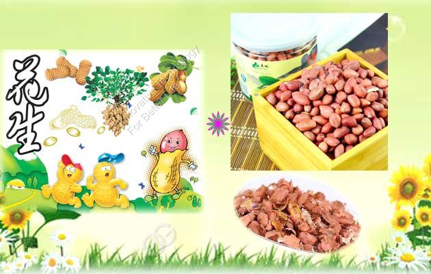 The Medicinal Value Of Peanuts Skin