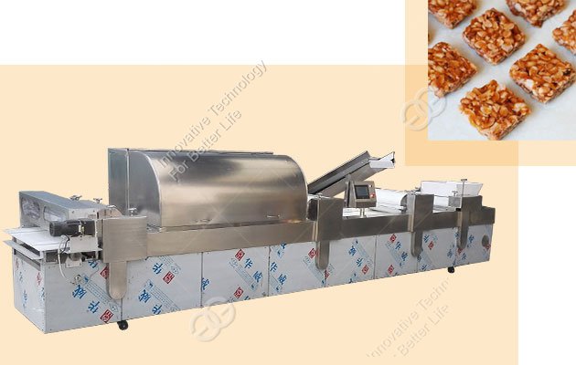 Labor Saving Automatic Chikki Making Machine in Project